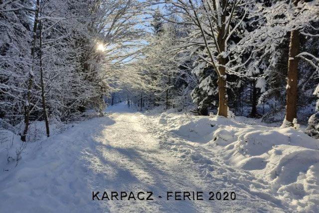 Karpacz4You "Przy Deptaku" Apartament Z Garazem 9,7 - Wiosna W Gorach 2025 Eksteriør billede